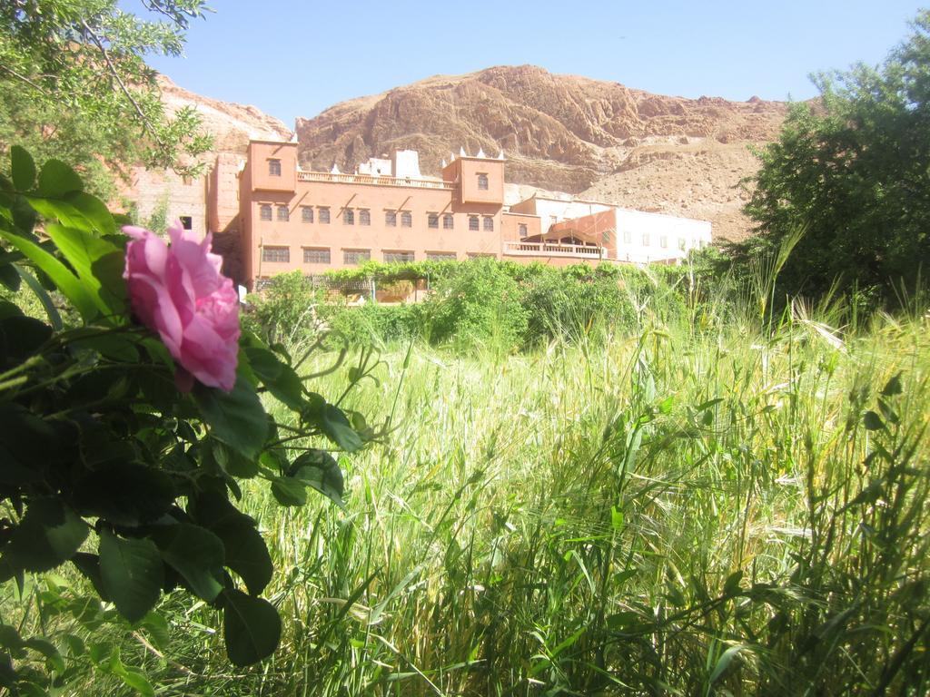 Hotel Awayou Bou Drarar Rum bild